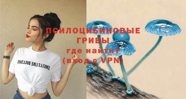 стафф Армянск