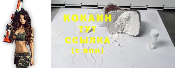 дмт Аркадак