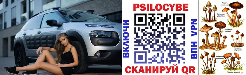 мега как зайти  что такое   Бабаево  Галлюциногенные грибы Cubensis 