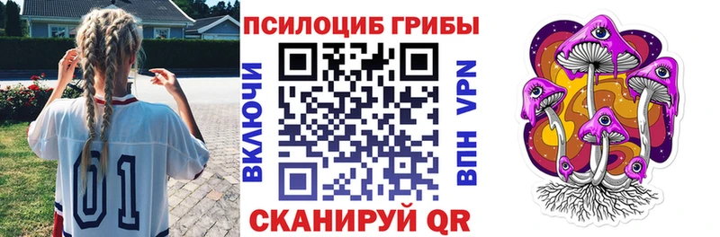 Галлюциногенные грибы Psilocybe Бабаево